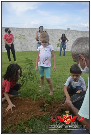 rolim de moura